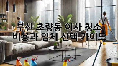 부산 초량동 이사 청소: 비용과 업체 선택 가이드