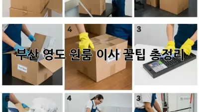 부산 영도 원룸 이사, 꿀팁 총정리!
