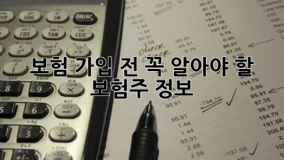 보험 가입 전, 꼭 알아야 할 보험주 정보!