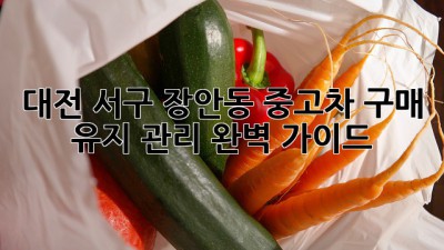 대전 서구 장안동 중고차 구매 & 유지 관리 완벽 가이드